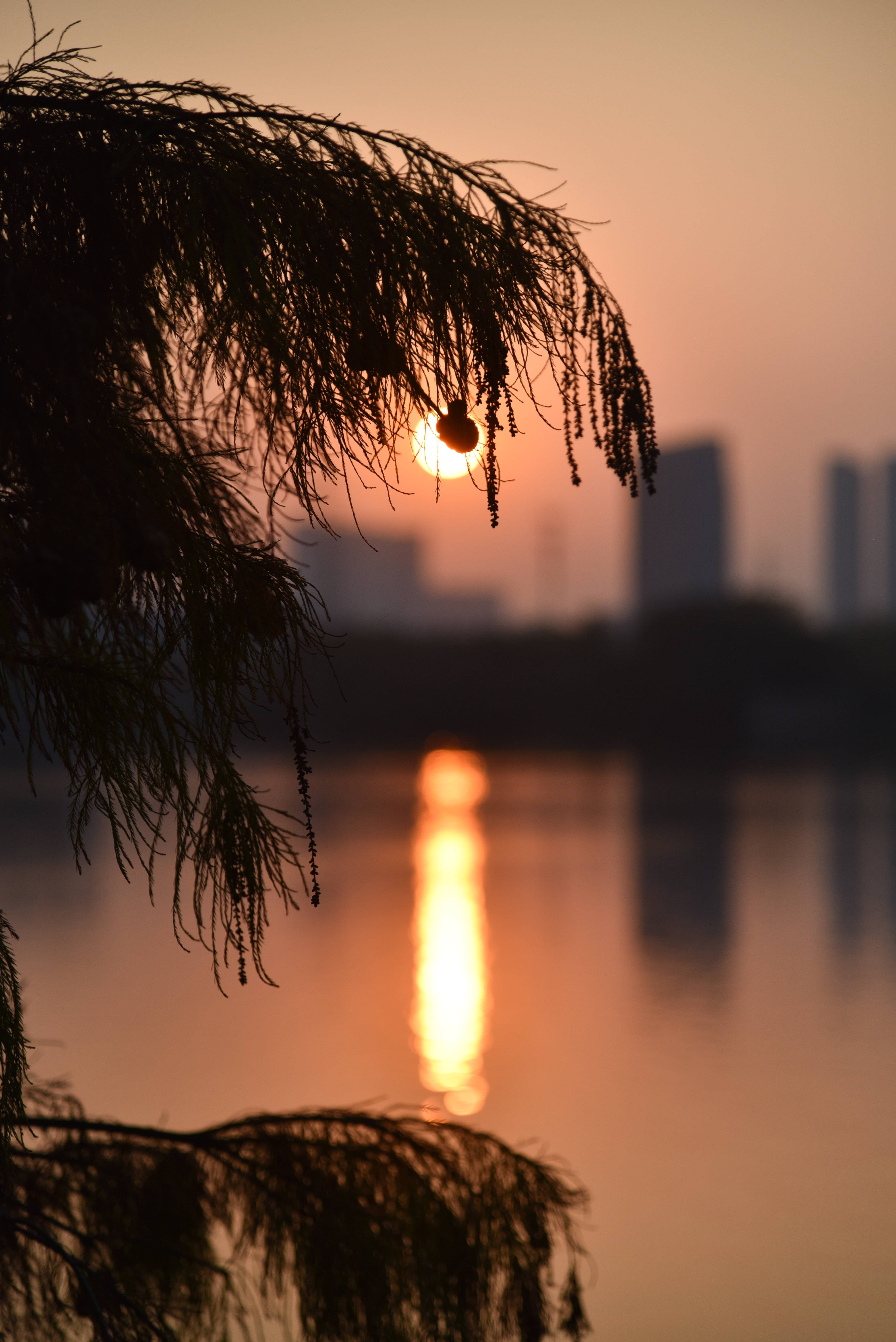 背景图